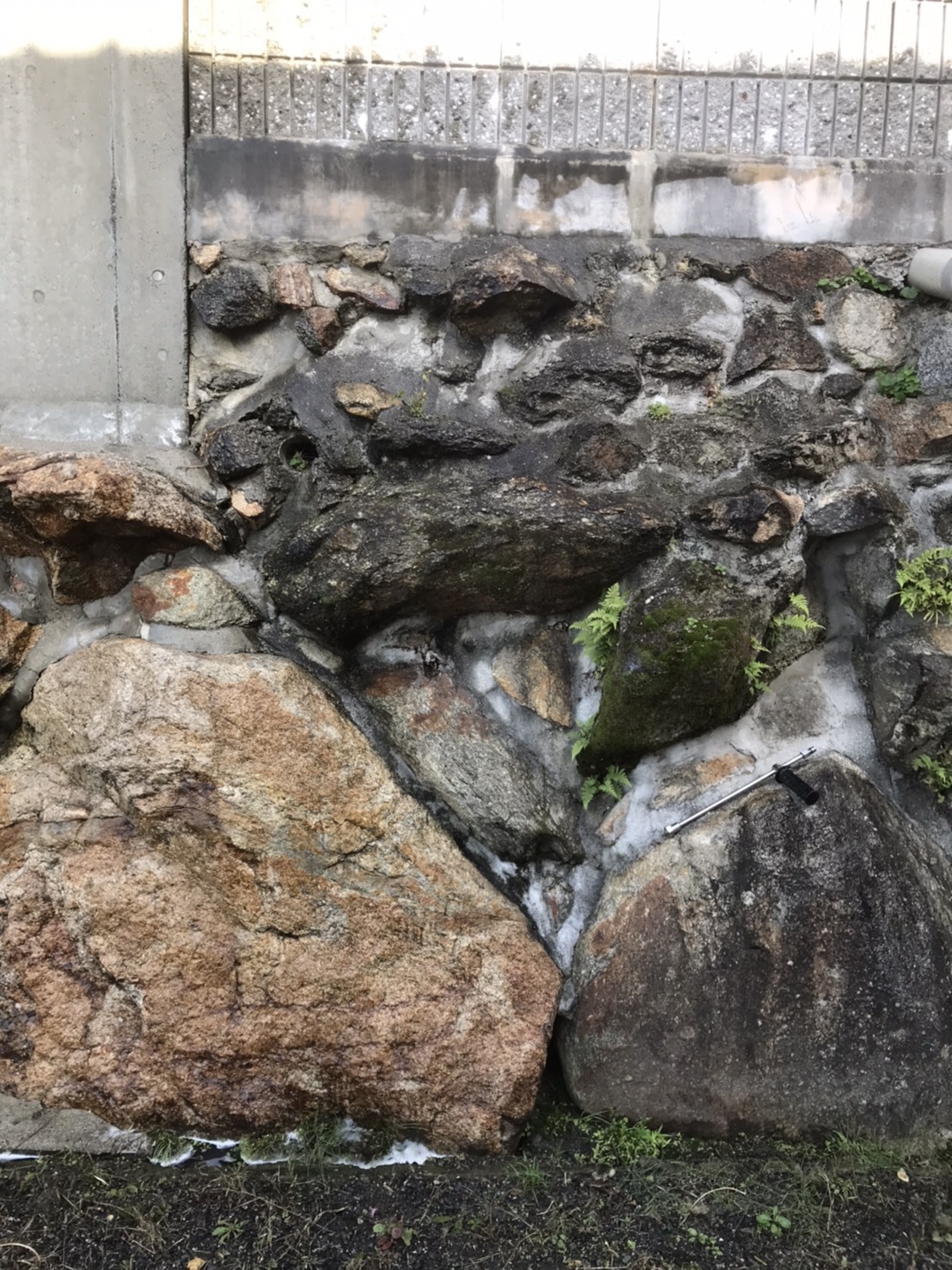 高圧洗浄かけている所とかけていない所